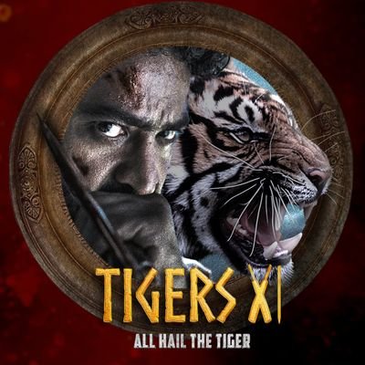 HailTheTigersXI's profile picture