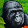 Jimmy Rustle 🇺🇸 profil fotoğrafı