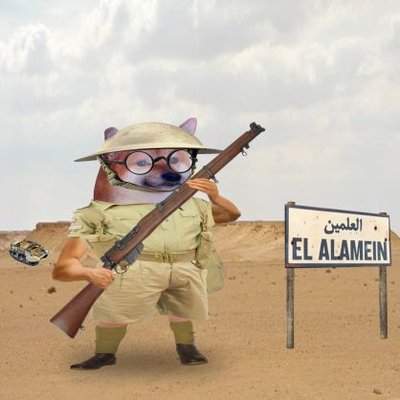 flunkertungle9's profile picture