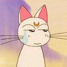 Profilbild von Artemis