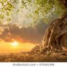 Фото профиля A/rahman mohamed