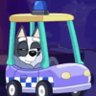 Profilbild von Patrullero Cafetero 🚓☕