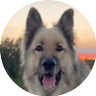 Profilbild von JukkaTheGreat