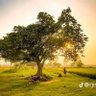 SK SAIDUL's profile picture