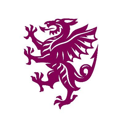 Somerset Cricket 🏆's profile picture