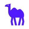 Profilbild von CAMEL-AI.org