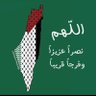 Dr Sara Alabbasi's profile picture