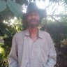 Francisco Choc Domínguez's profile picture