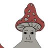 Mr. shroom's profile picture