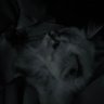 Profilbild von .