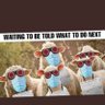 Sean_Report's profile picture