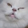 .'s profile picture