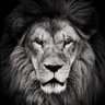 Profilbild von Nabadoon Abdi ๐ธ๐ด๐ธ๐ด๐ธ๐ด