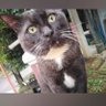 Profilbild von khukmiafifah