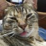 Profilbild von Leslie