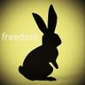 freedomだよ profil fotoğrafı