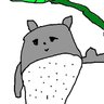 クロクマ 的头像