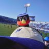 Profilbild von れつのすけ🐧🏈🐰
