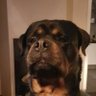 Profilbild von Tw Kess