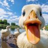 Profilbild von FarmerNew