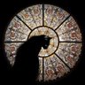 Adam's profile picture