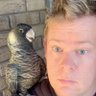 James's profile picture