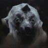 arrrarrararw's profile picture