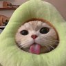 avocad1sh profil fotoğrafı