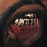 Tim's profile picture
