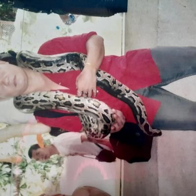 KoMin59974798's profile picture