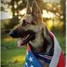 🇺🇸 SpokesTurd 🇺🇲 profil fotoğrafı