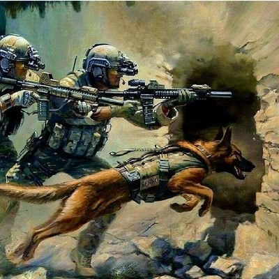 FelipeV01160177's profile picture