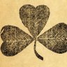 Profilbild von ☘️ Fighting Irish ☘️