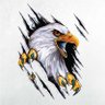 Kartal profil fotoğrafı