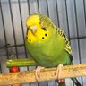 Holly profil fotoğrafı