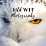 Wild Wit Photography profil fotoğrafı