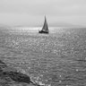 HoistTheSails! profil fotoğrafı