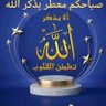 Shaimaa Farid's profile picture