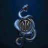 Lastking's profile picture
