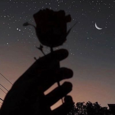 suns53402399's profile picture
