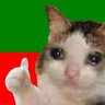 레바 🇵🇸's profile picture