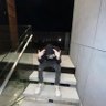 Snar profil fotoğrafı