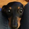 mim de's profile picture
