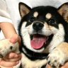 一拳's profile picture