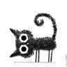Alma's profile picture