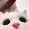 s0s 的头像