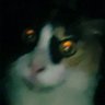 استغفر الله's profile picture