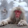 ck mor's profile picture