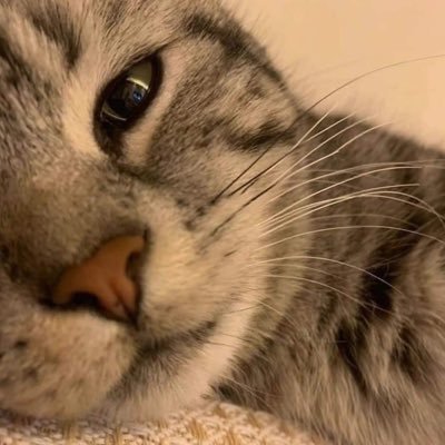 pimmmm's profile picture