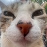 Profilbild von Tom Draggy